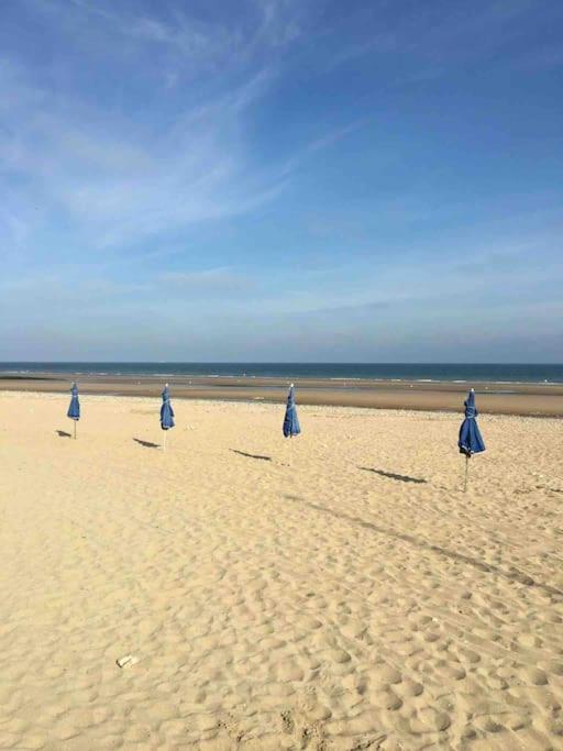 L'Appart 204, Superbe Appartement En Residence Villers-sur-Mer Eksteriør billede