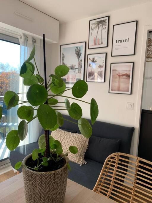 L'Appart 204, Superbe Appartement En Residence Villers-sur-Mer Eksteriør billede